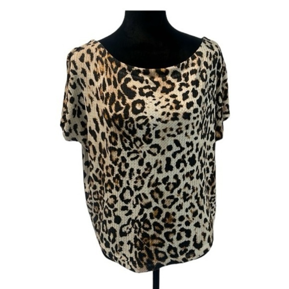 Cheetah Express top